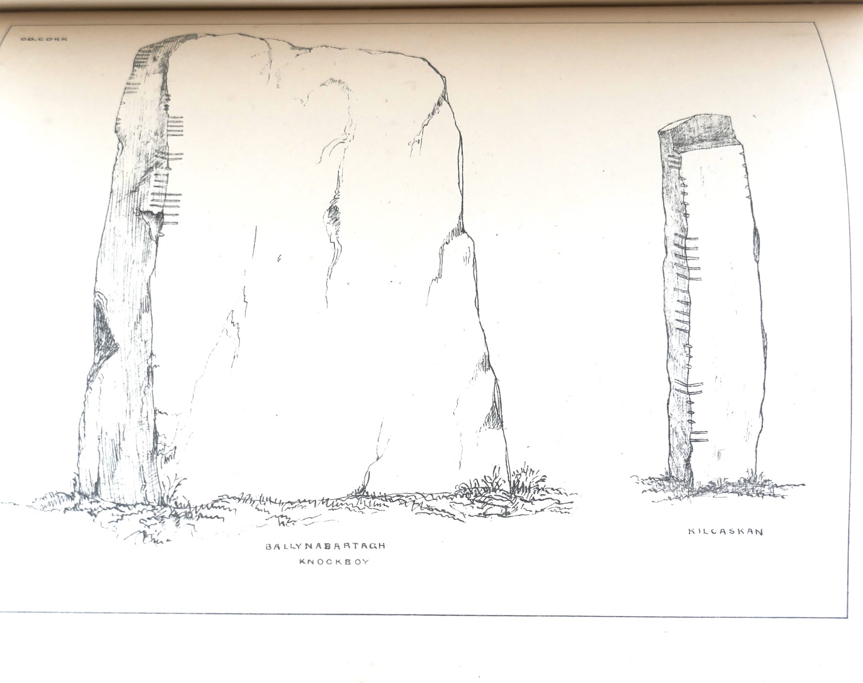The Ogam Inscribed Monuments of the Gaedhill (1879) - Image 5