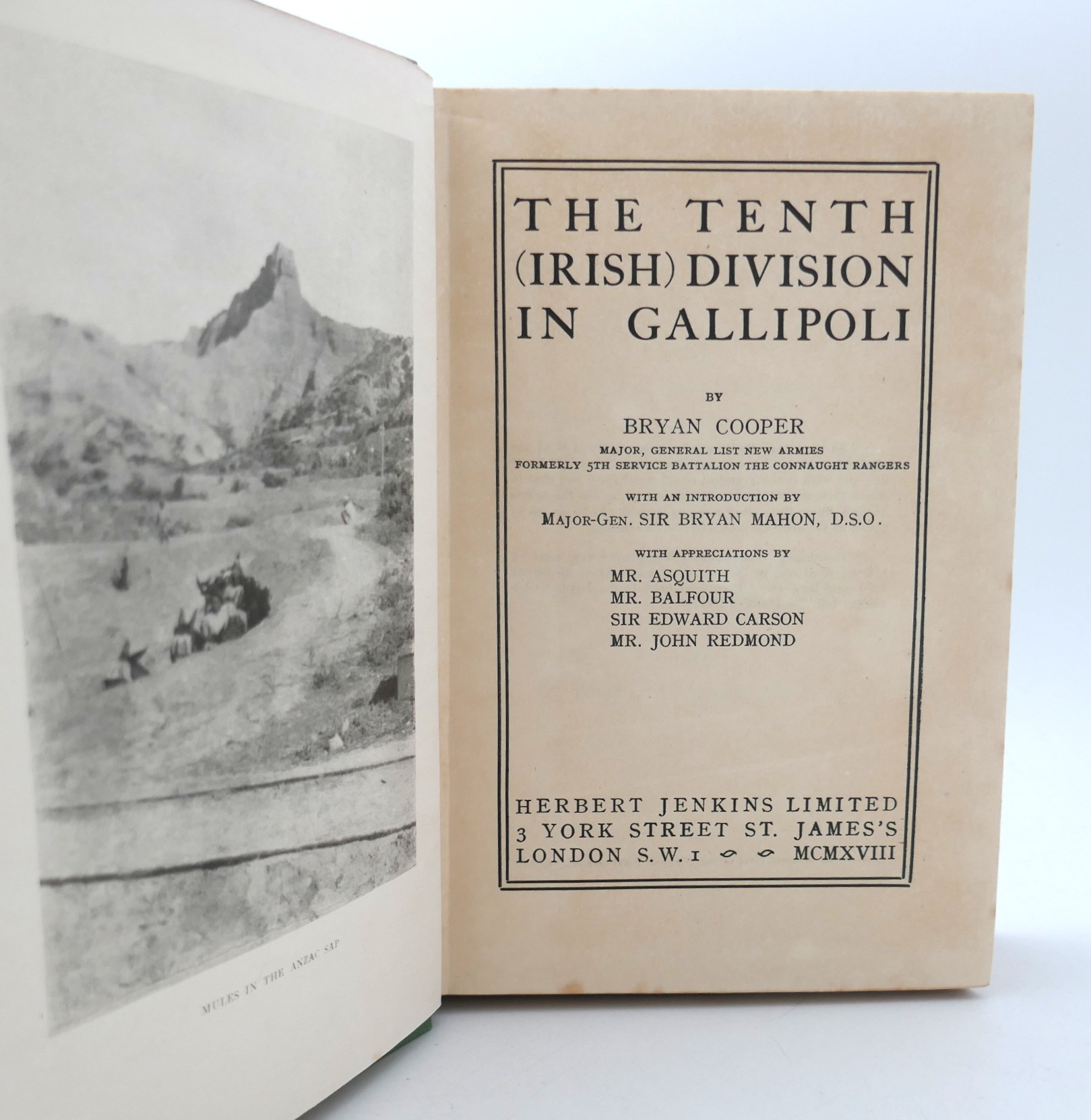 The Tenth (Irish) Division in Gallipoli (1918) - Image 2