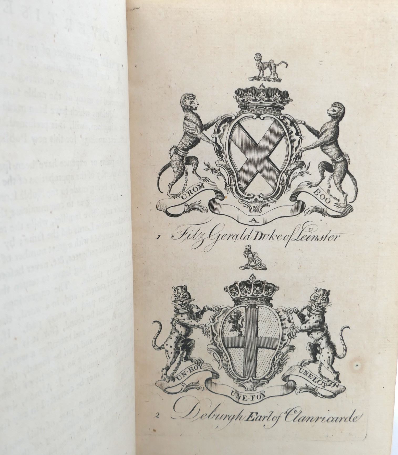The Peerage of Ireland. Two Volumes (1768) - Image 6