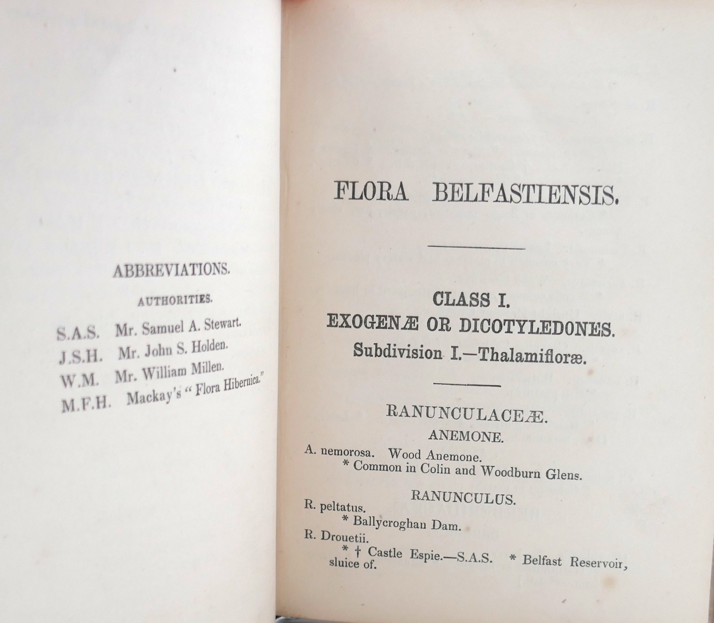 Flora Belfastiensis: The Plants Around Belfast (1863) - Image 3
