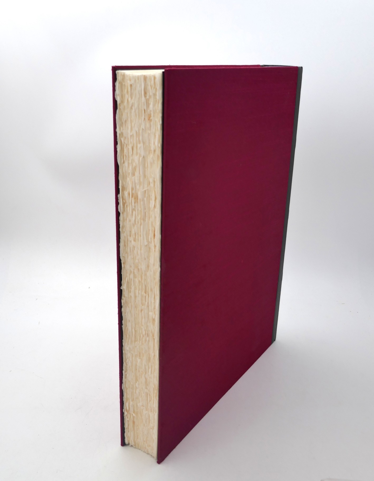 Dante's Inferno. Special Limited Edition (1993) - Image 6