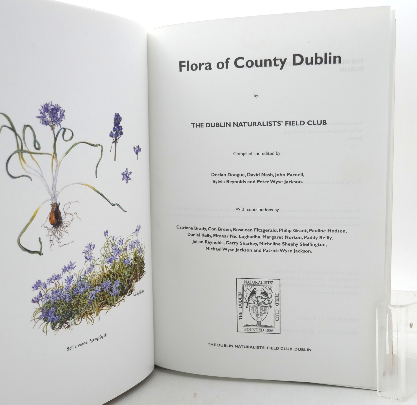 Fora of the County of Dublin. Limited Edition (1998) - Image 3