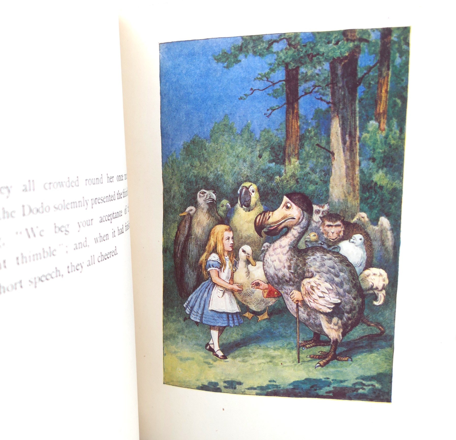 Alice's In Wonderland & Through The Looking-Glass (Deluxe Issue) - Image 7
