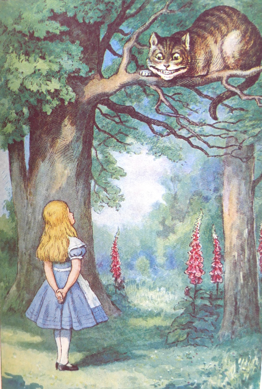 Alice's In Wonderland & Through The Looking-Glass (Deluxe Issue) - Image 8