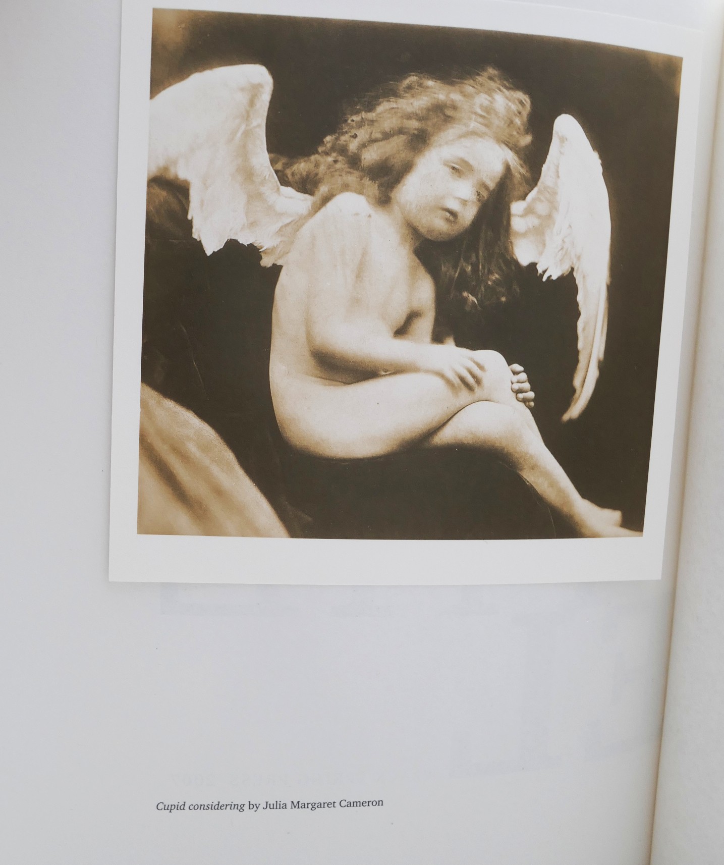 And the Ass Saw the Angel. Deluxe Edition (2007) - Image 4