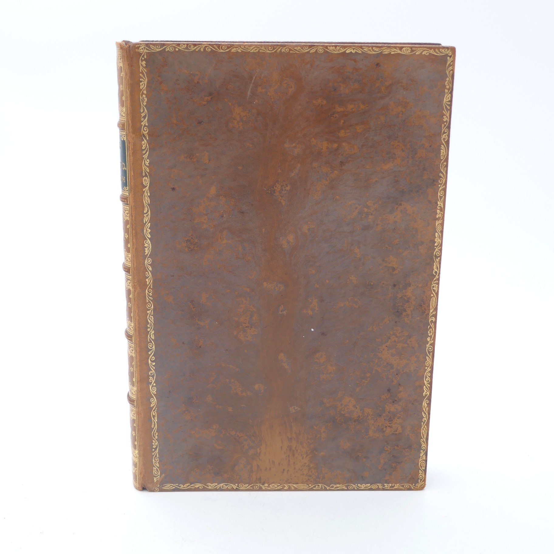 The Vicar of Wakefield. Illustrated by Hugh Thomson (1904) - Image 2