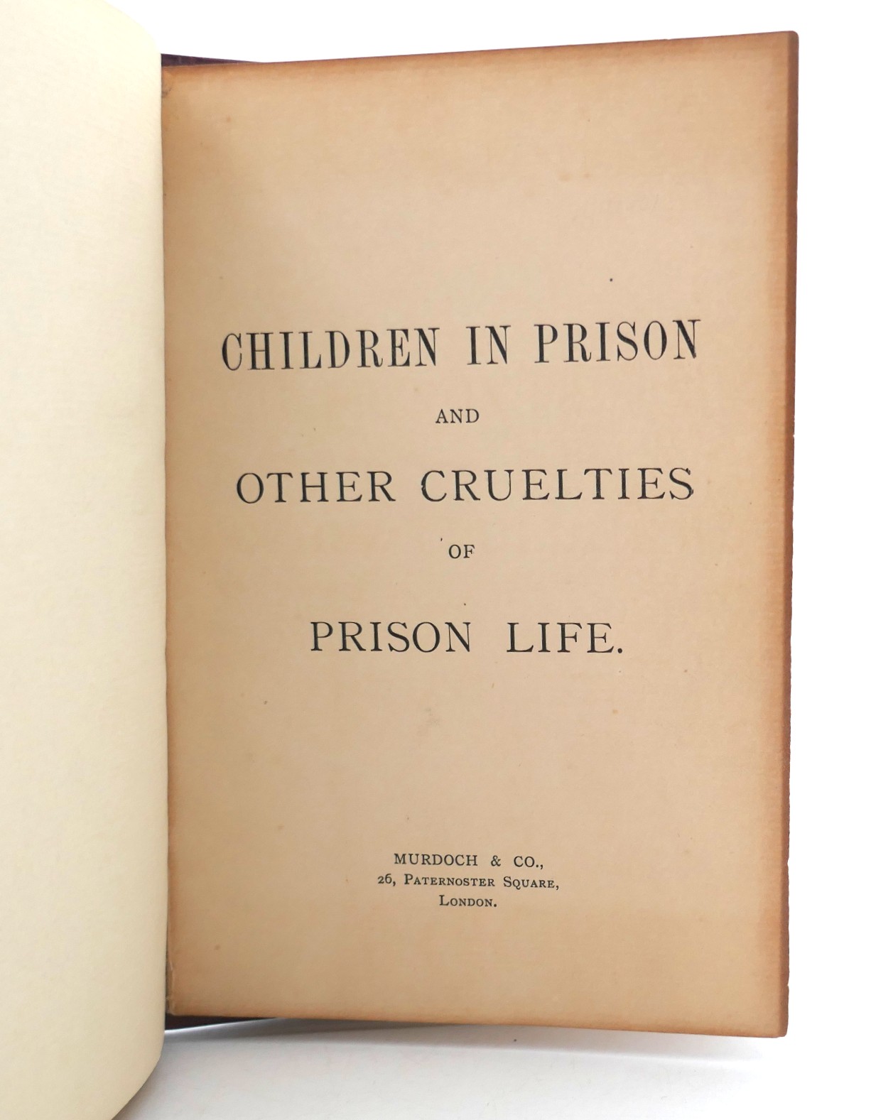 Children in Prison and Other Cruelties of Prison Life (1898) - Image 2