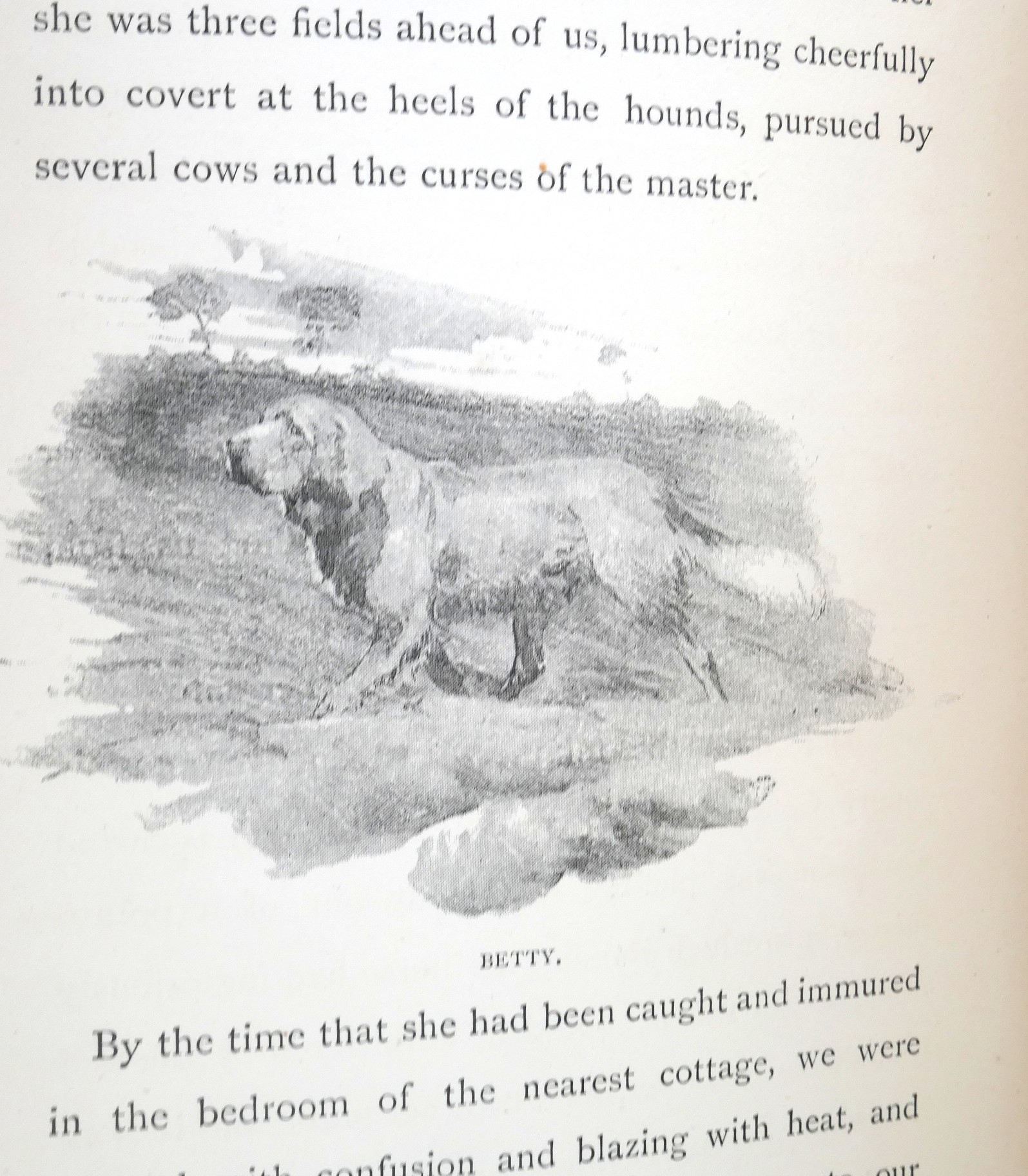 In the Vine Country. First Edition (1893) - Image 3