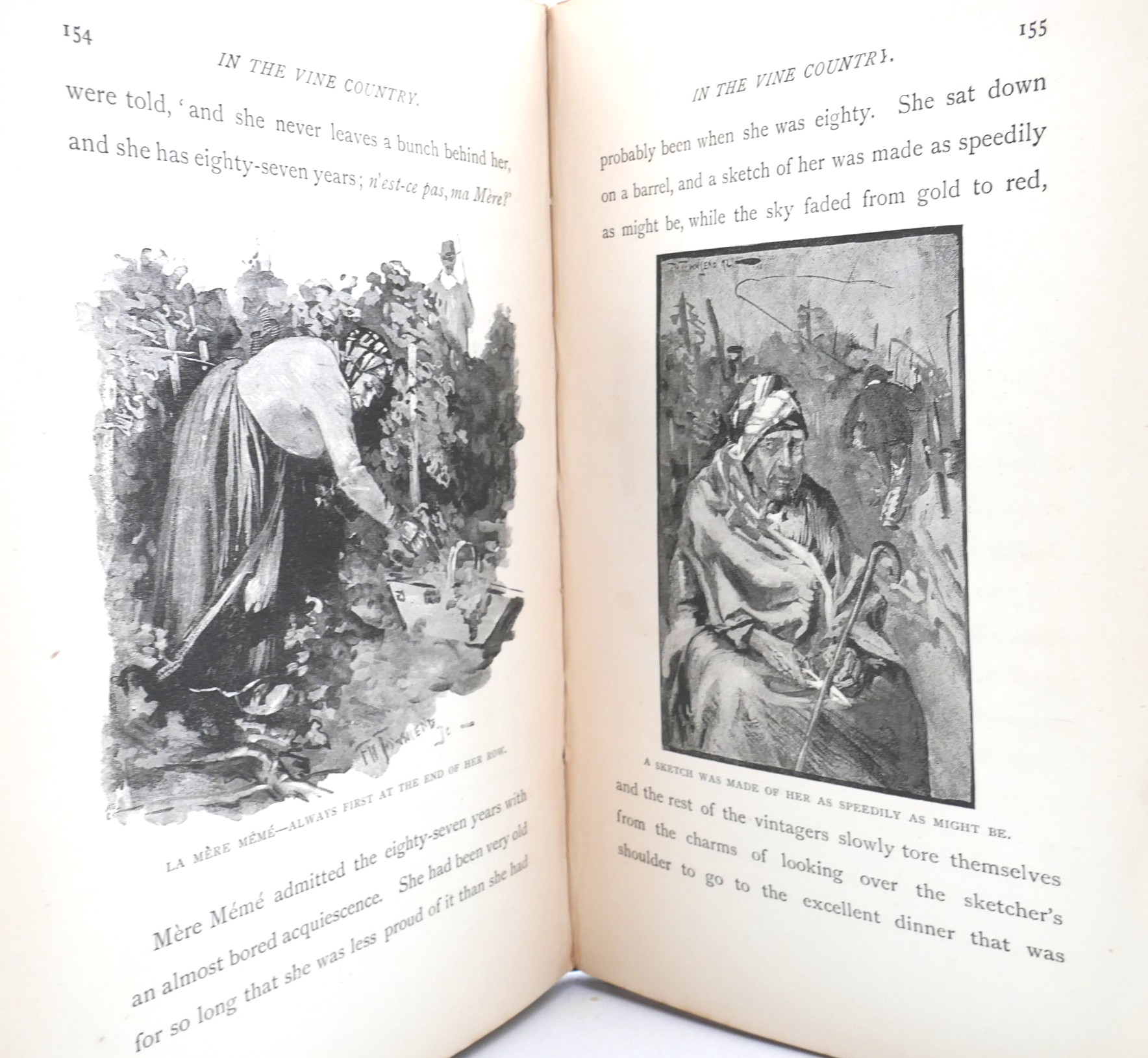 In the Vine Country. First Edition (1893) - Image 5