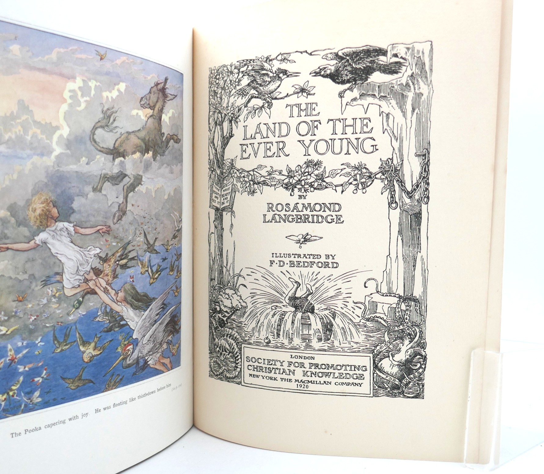 Land of the Ever Young (1920) - Image 2