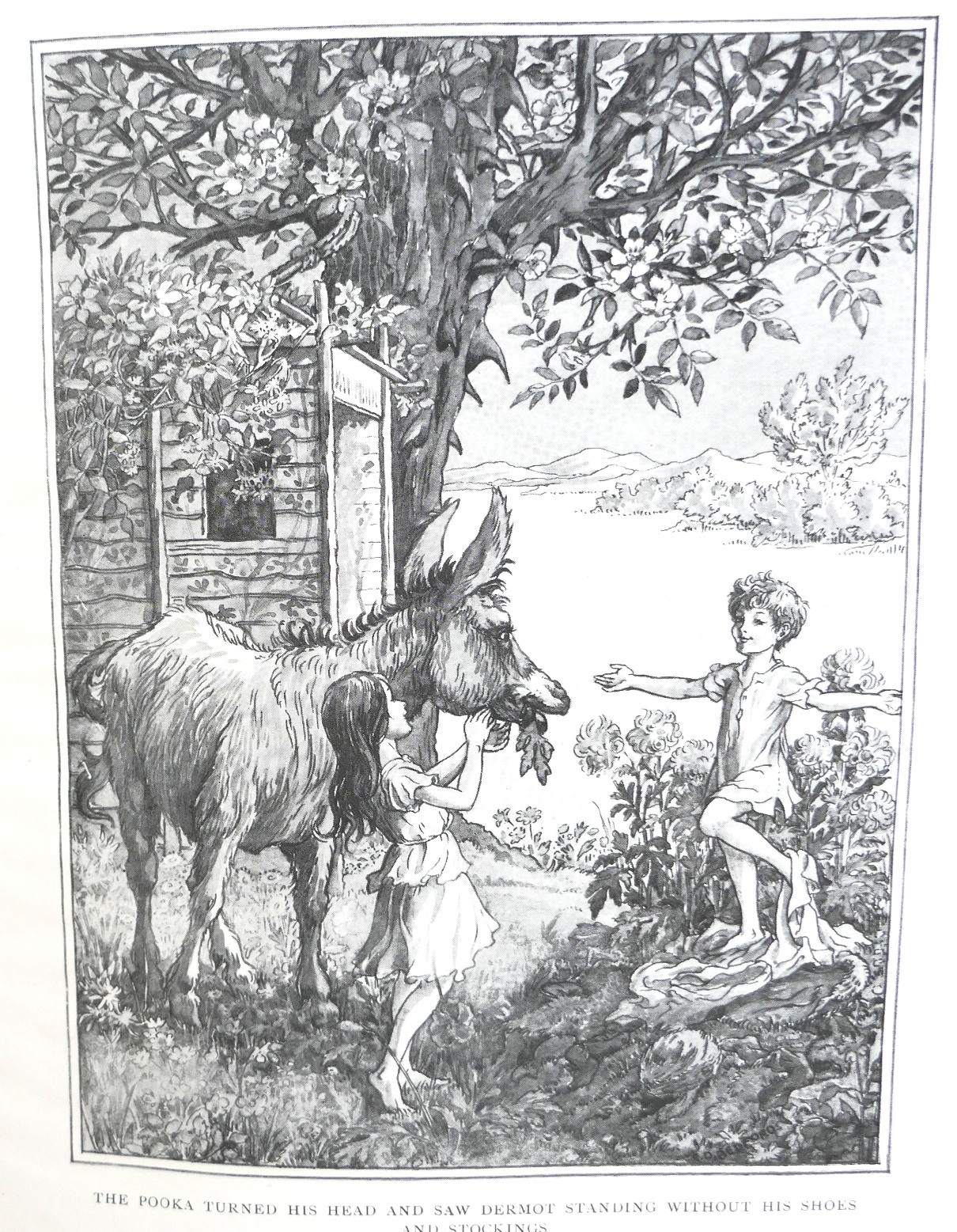 Land of the Ever Young (1920) - Image 4