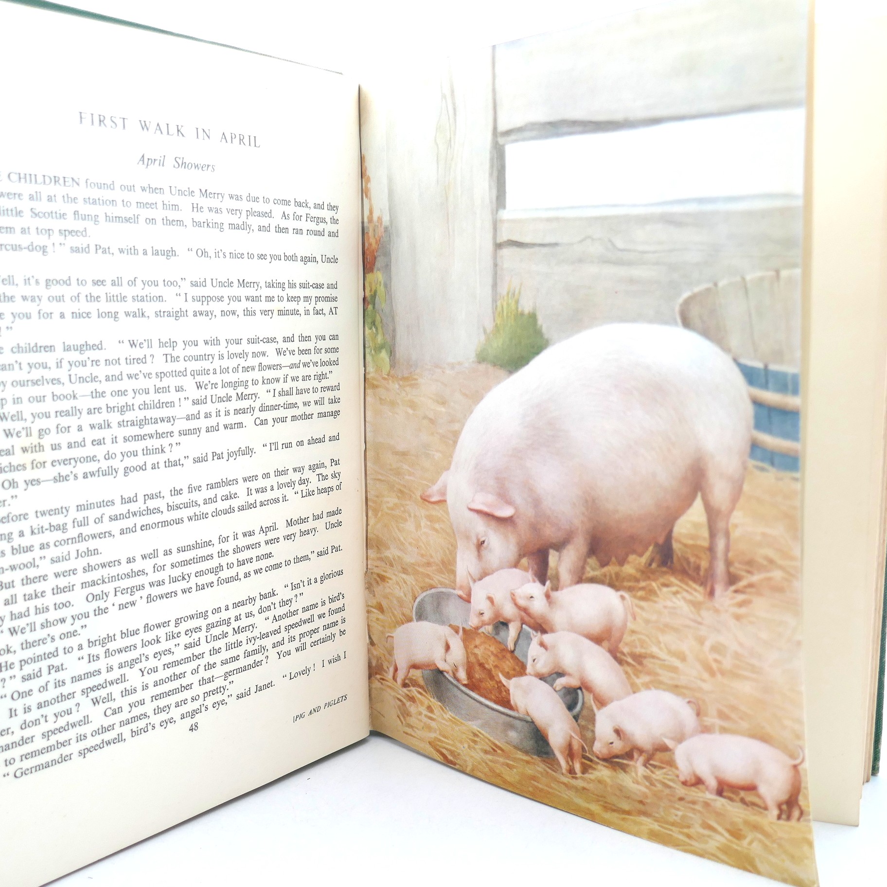 Enid Blyton's Nature Lover's Book. Signed Copy (1947) - Image 7