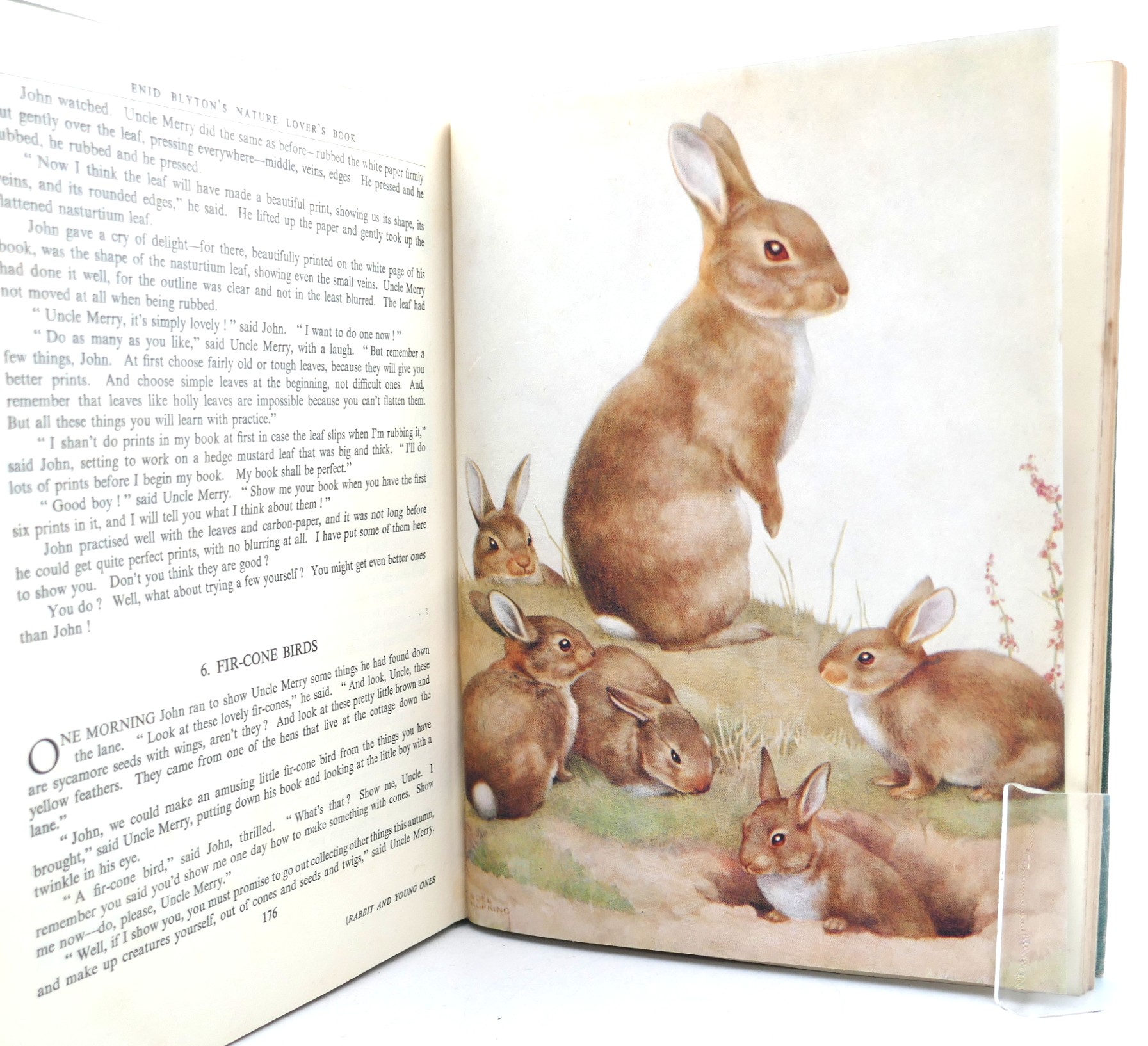 Enid Blyton's Nature Lover's Book. Signed Copy (1947) - Image 8