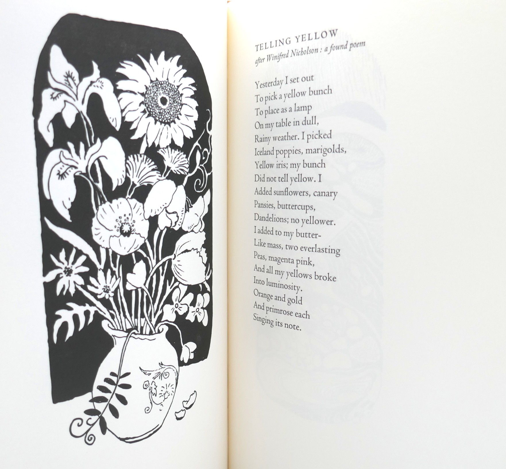 The Dipper's Range. Drawings by Sarah Longley (2016) - Image 5