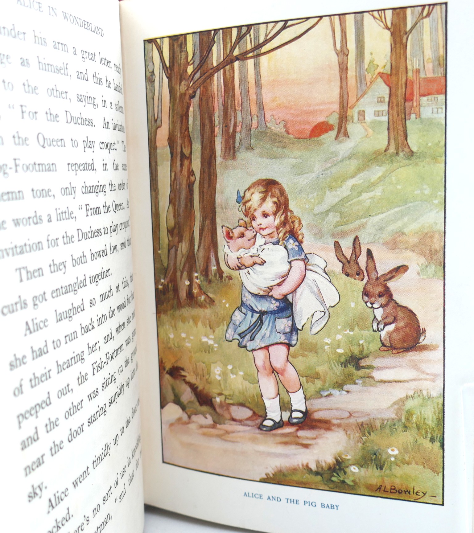 Alice in Wonderland. Illustrated by A.L Bowley (1921) - Image 4