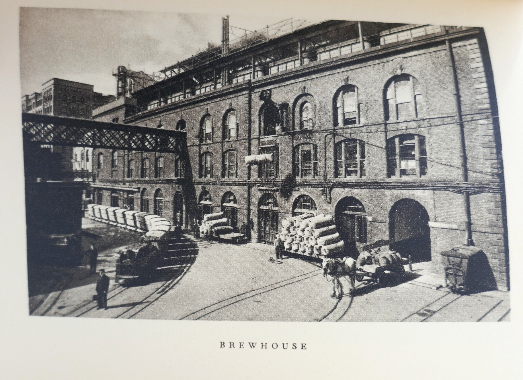 Guinness Dublin (1955) - Image 3