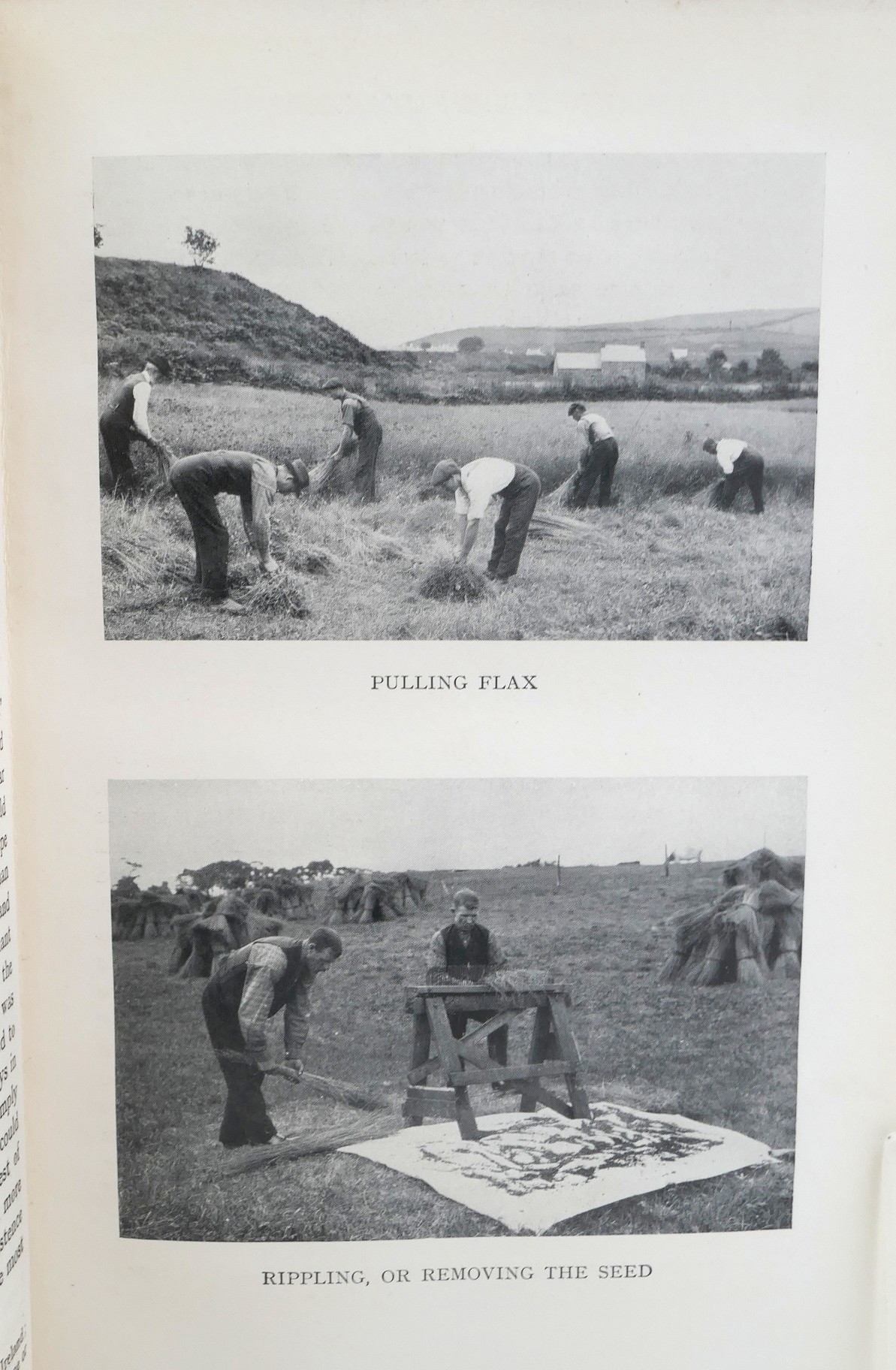 The Rise of the Irish Linen Industry (1925) - Image 3