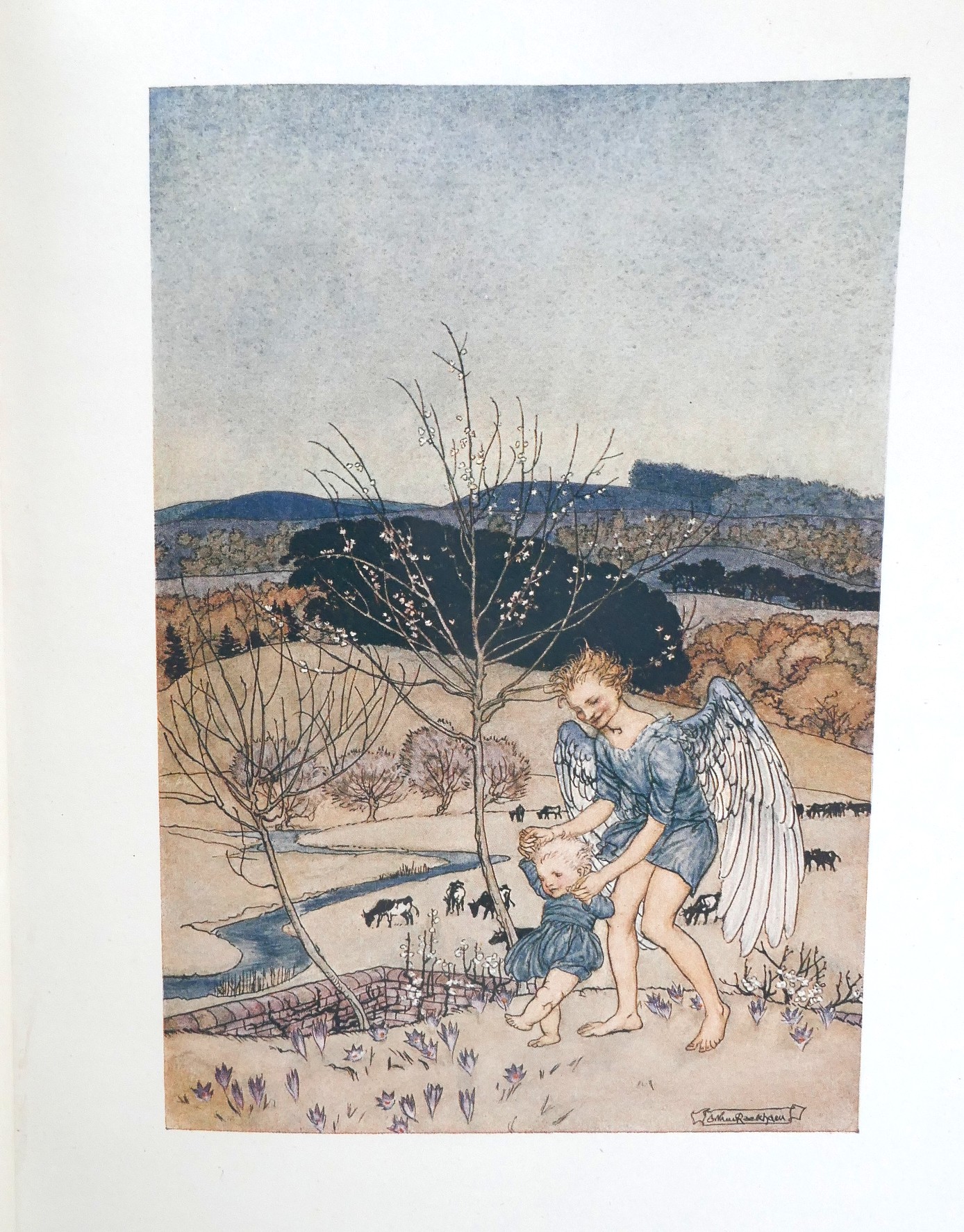 The Springtide of Life. Illustrated by Arthur Rackham (1918) - Image 5