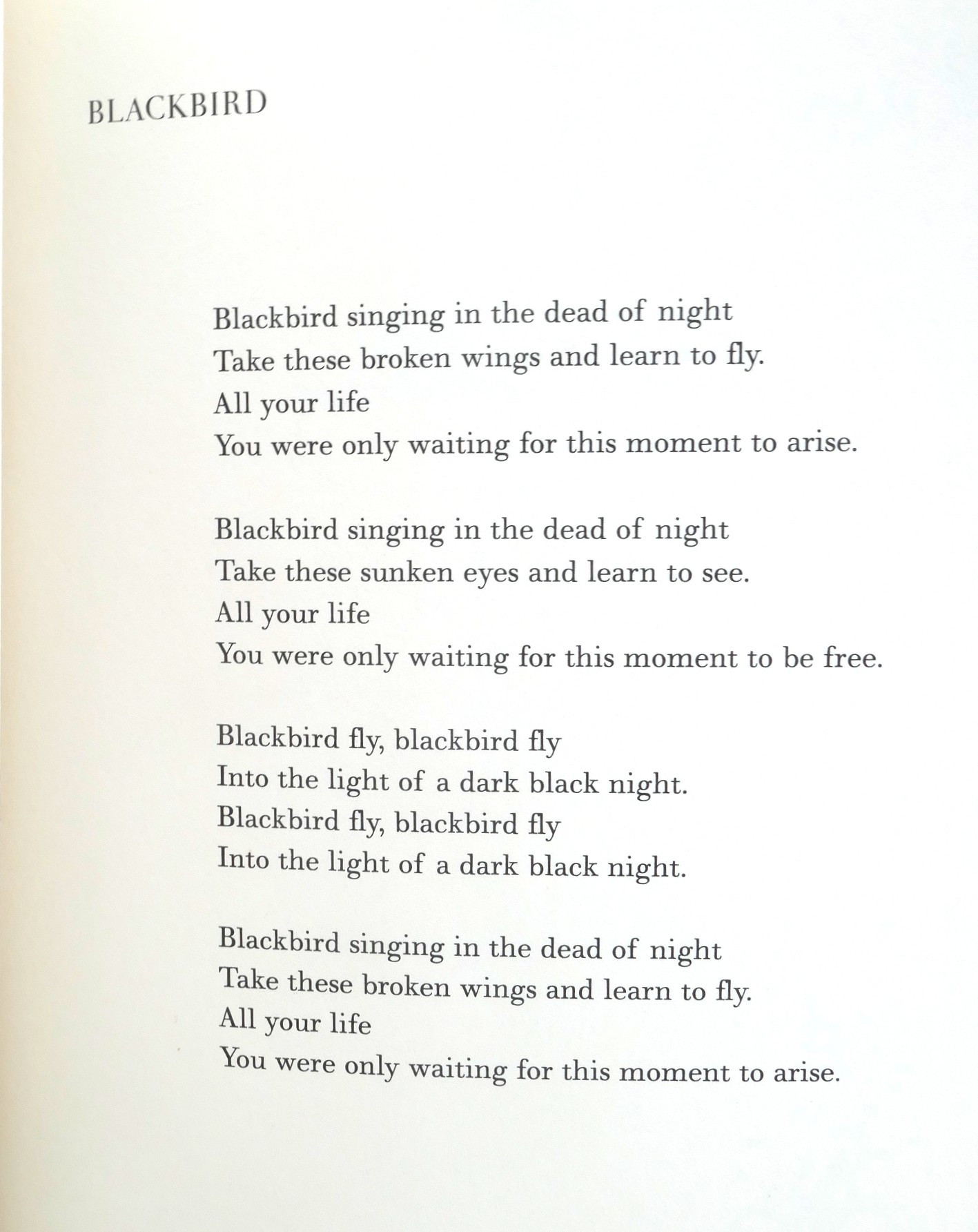 Blackbird Singing: Lyrics and Poems. Signed Copy (2001) - Image 6