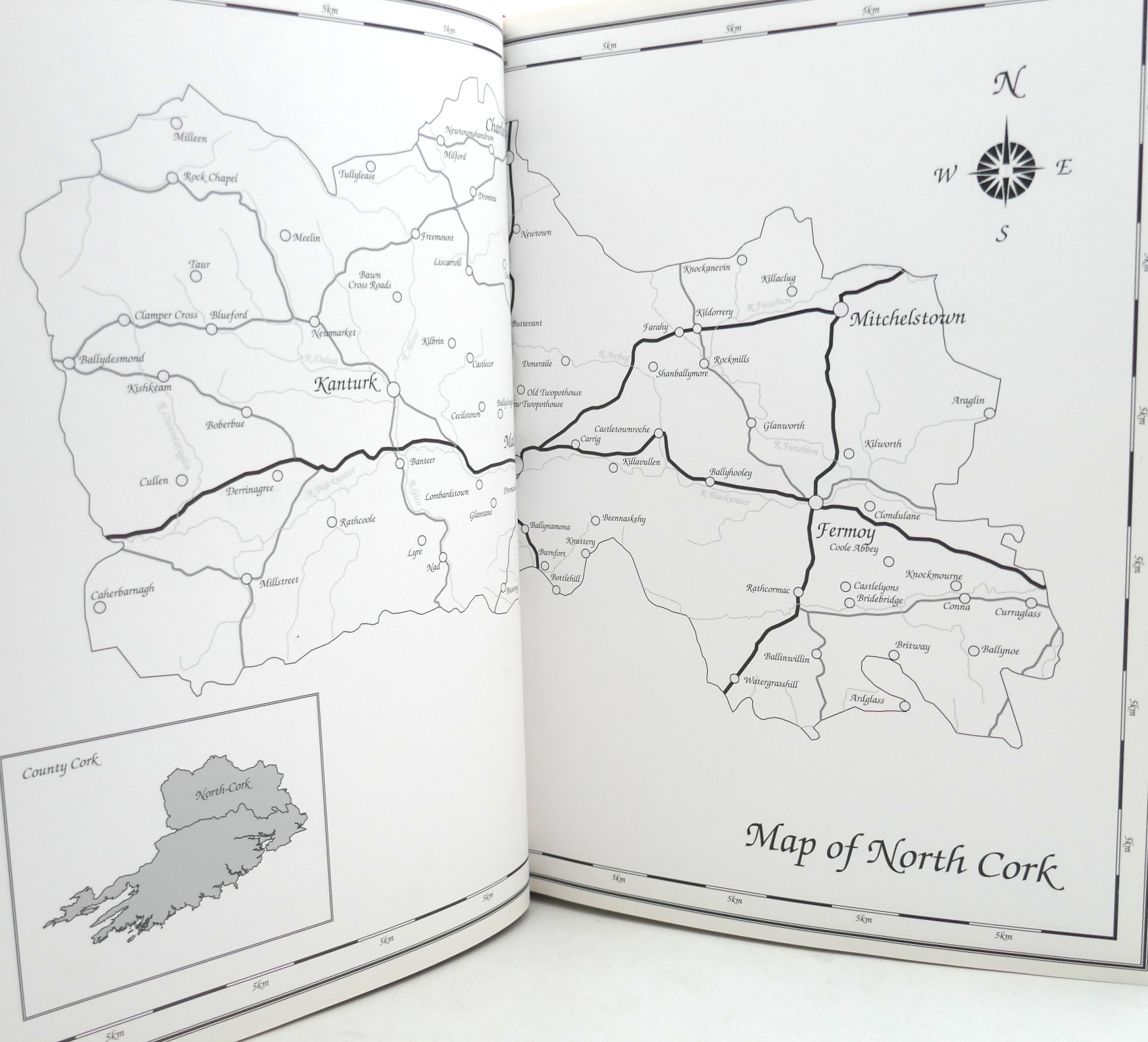 Houses of Cork Volume I: North Cork (2003) - Image 3
