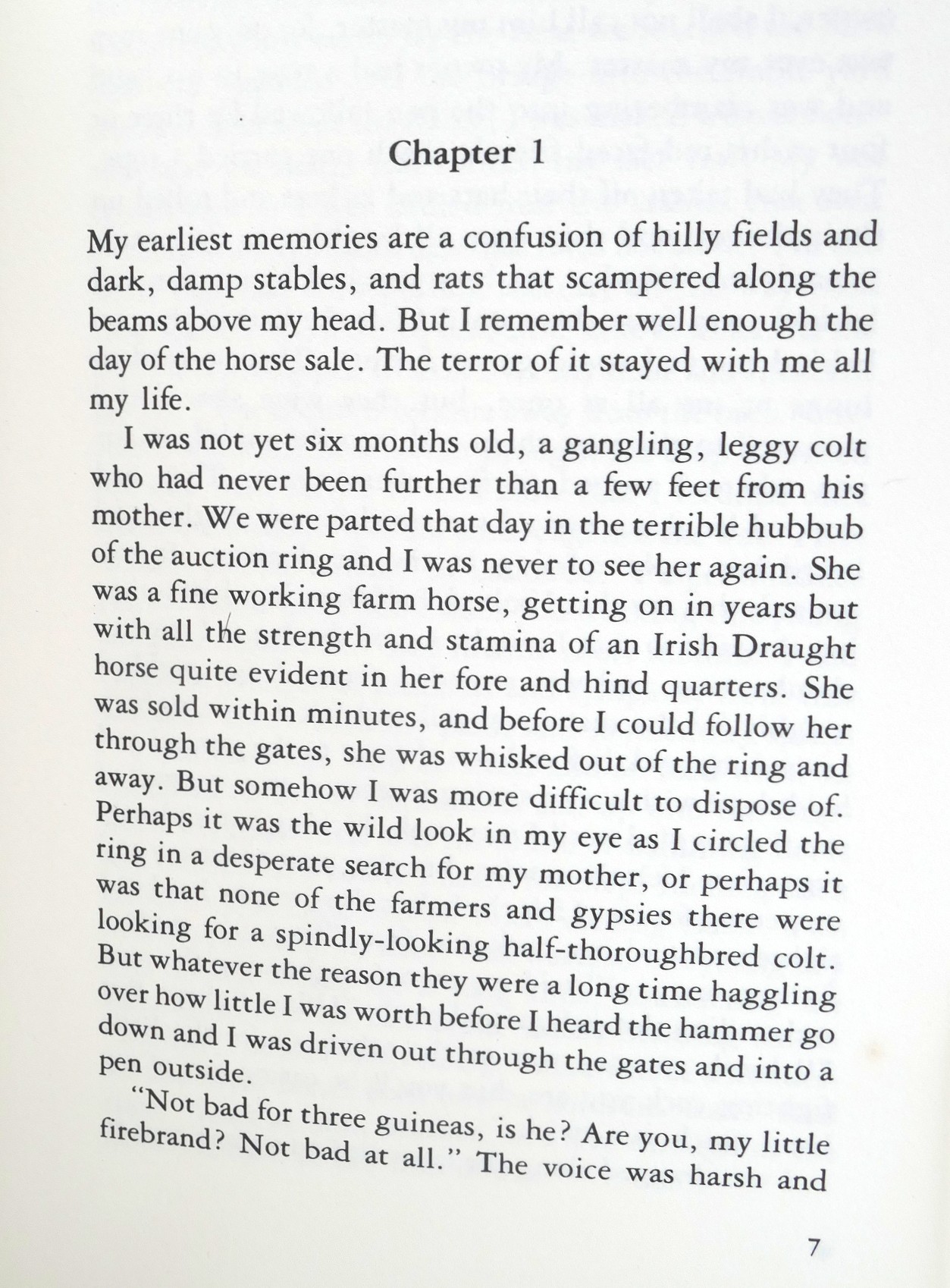 War Horse. First Edition (1982) - Image 5