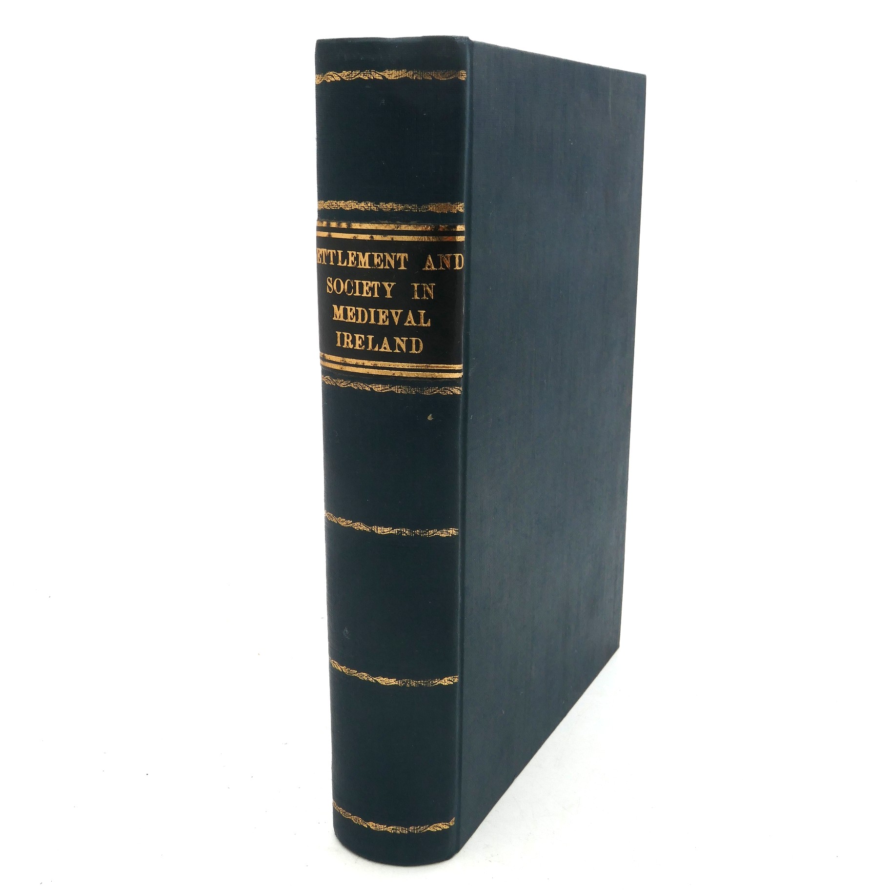 Settlement and Society in Medieval Ireland (1988)