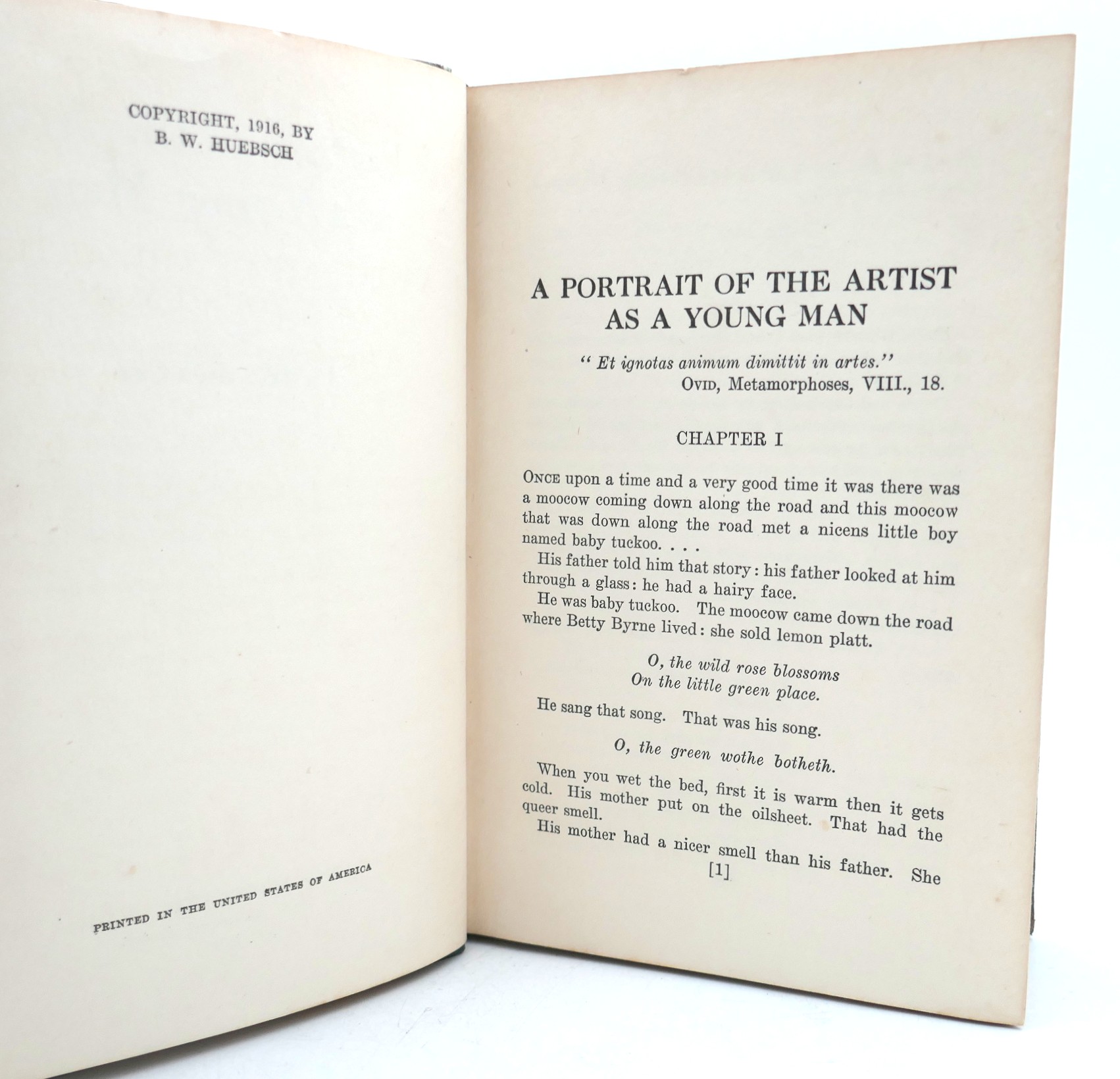 A Portrait of the Artist as a Young Man (1917) - Image 5