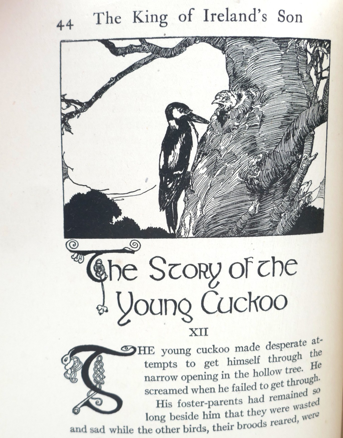 The King of Ireland's Son (1920) - Image 5
