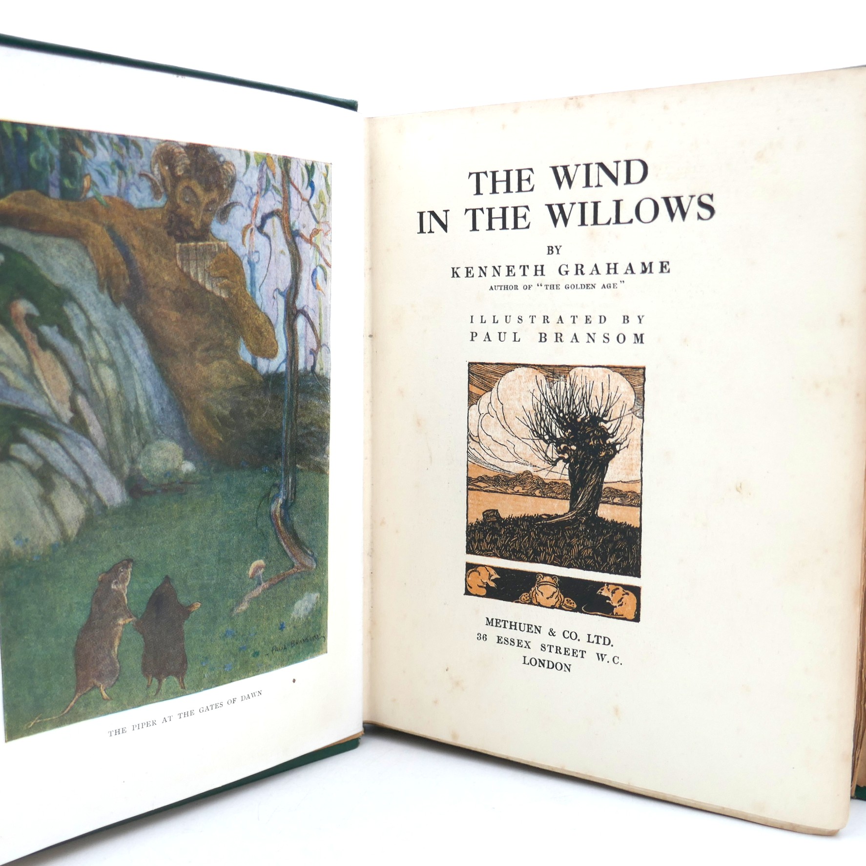 The Wind in the Willows. Illustrated by Paul Bransom (1913) - Image 3