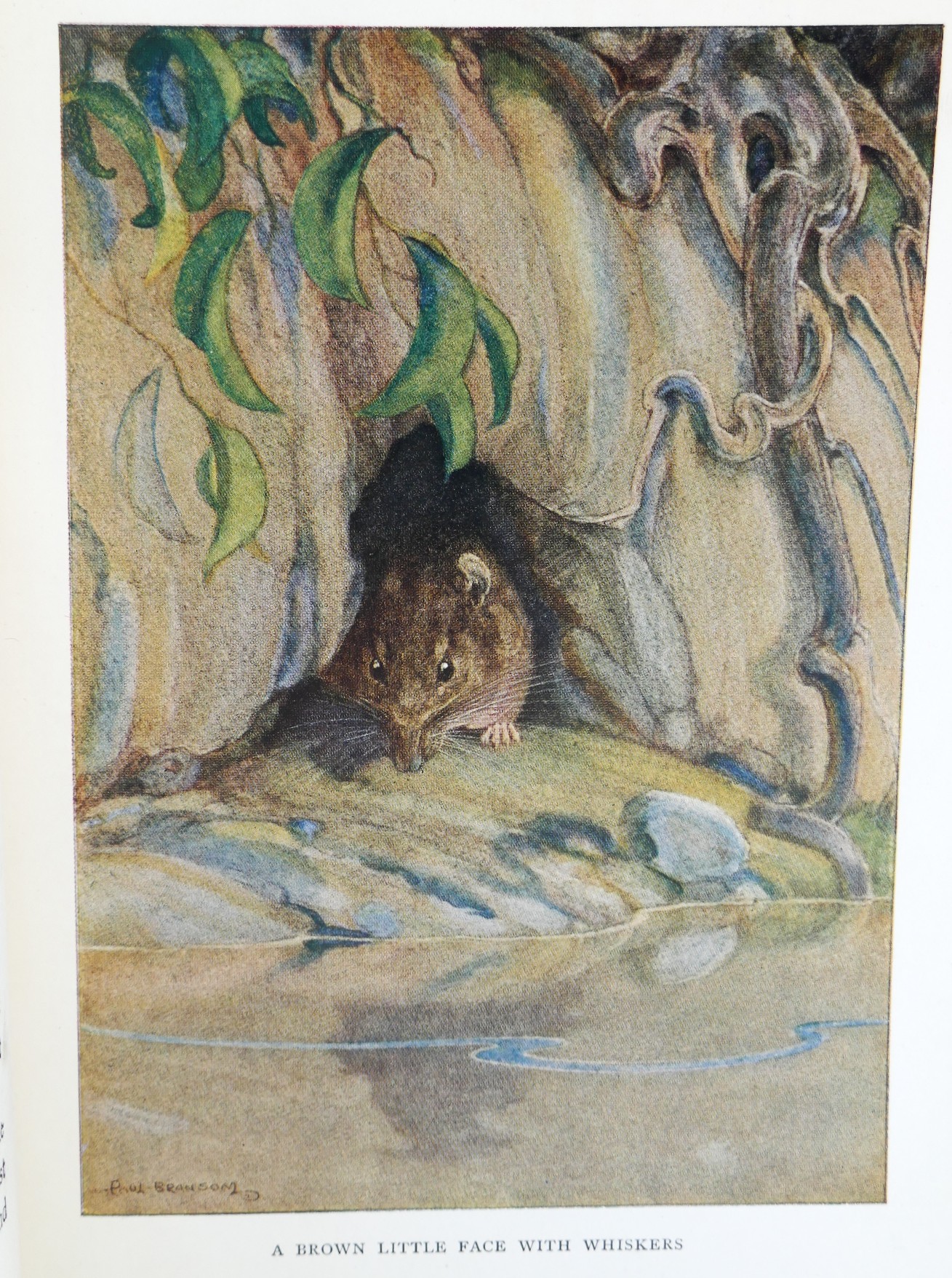 The Wind in the Willows. Illustrated by Paul Bransom (1913) - Image 4
