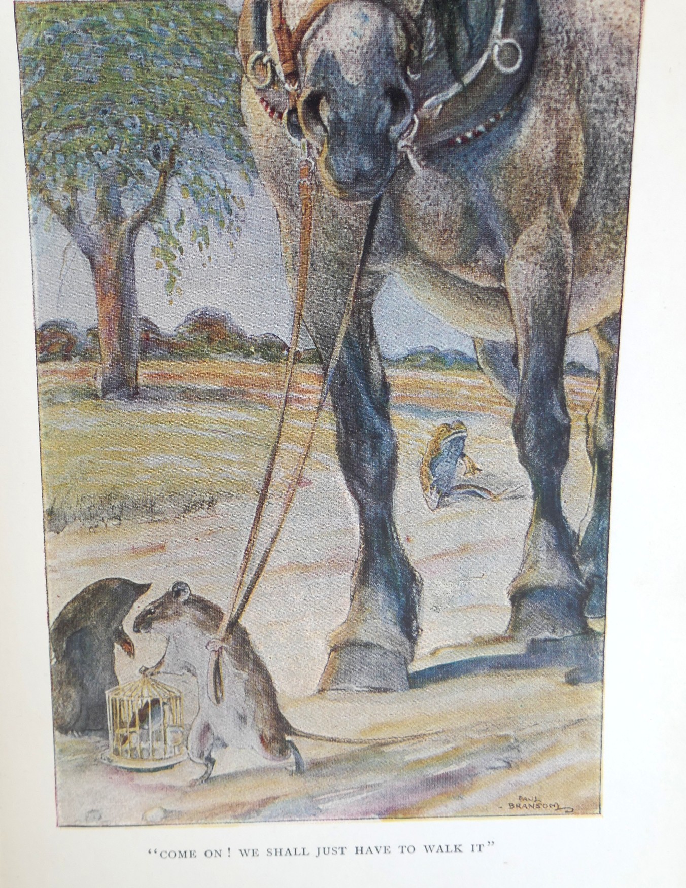 The Wind in the Willows. Illustrated by Paul Bransom (1913) - Image 5