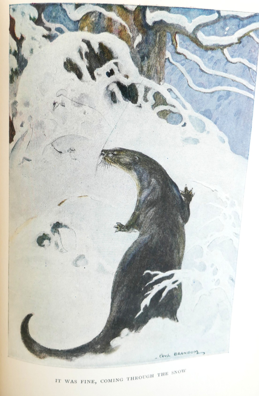 The Wind in the Willows. Illustrated by Paul Bransom (1913) - Image 6