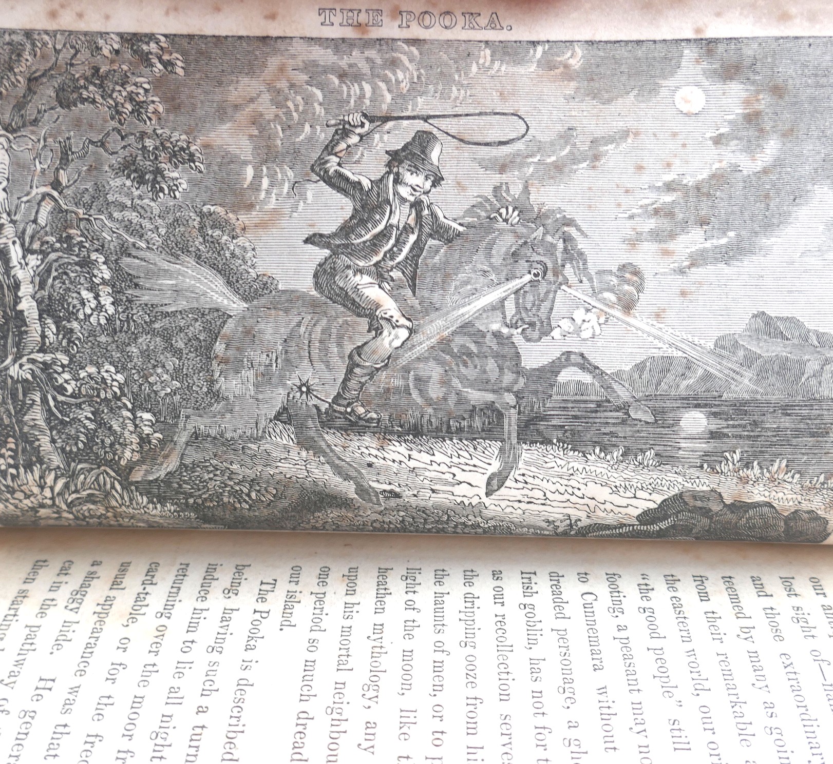 Pic Nics from the Dublin Penny Journal (1836) - Image 3