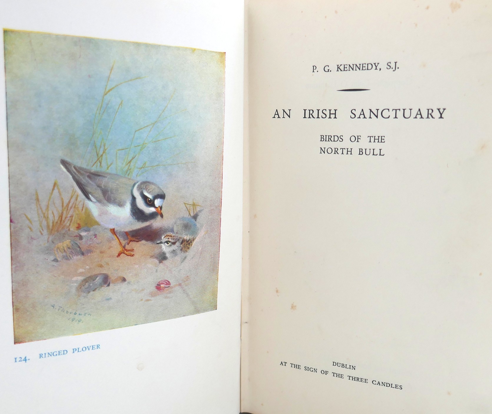 An Irish Sanctuary. Inscribed by the Publisher (1953) - Image 3