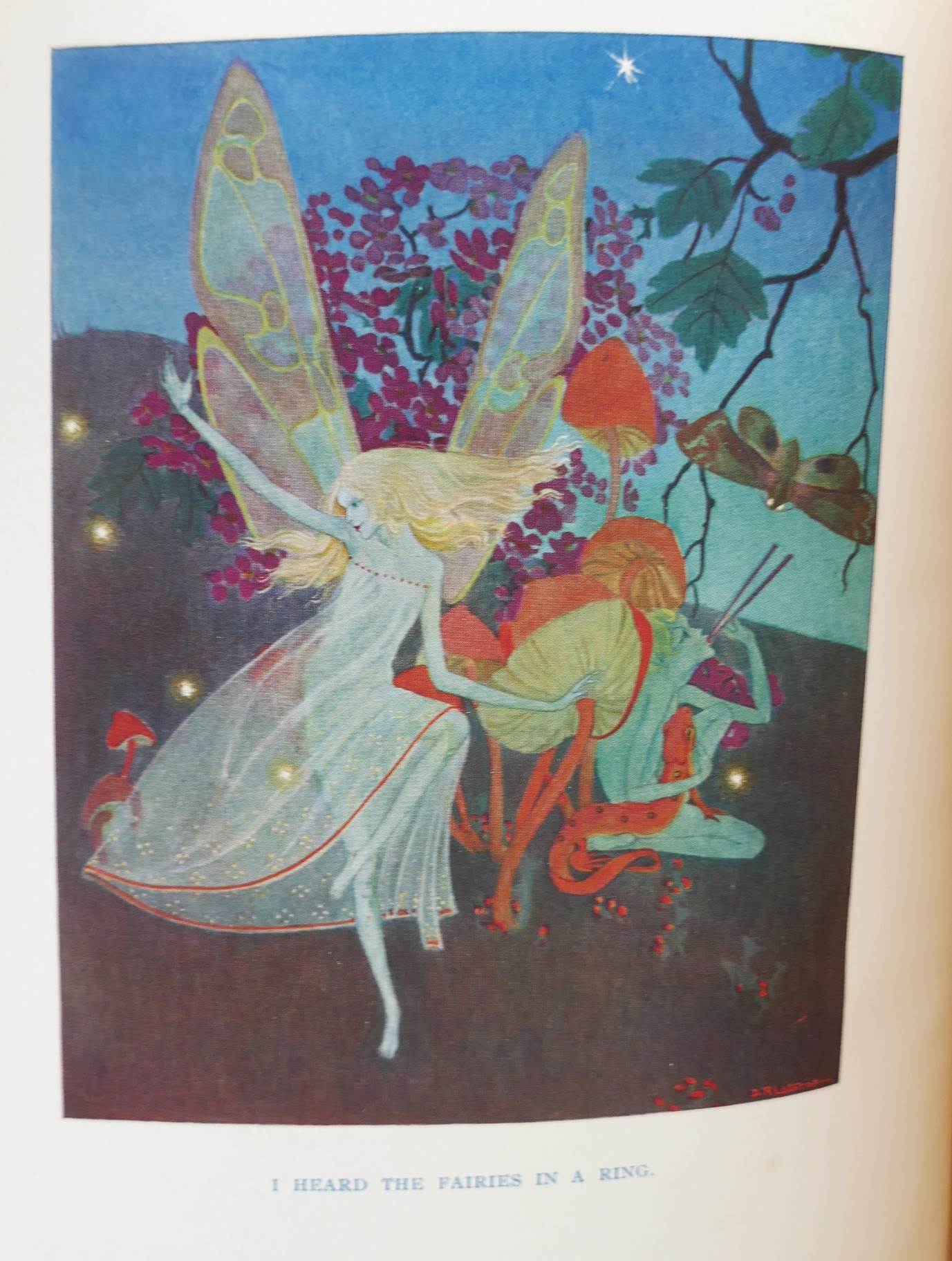 Down-Adown-Derry, A Book of Fairy Poems (1922) - Image 2