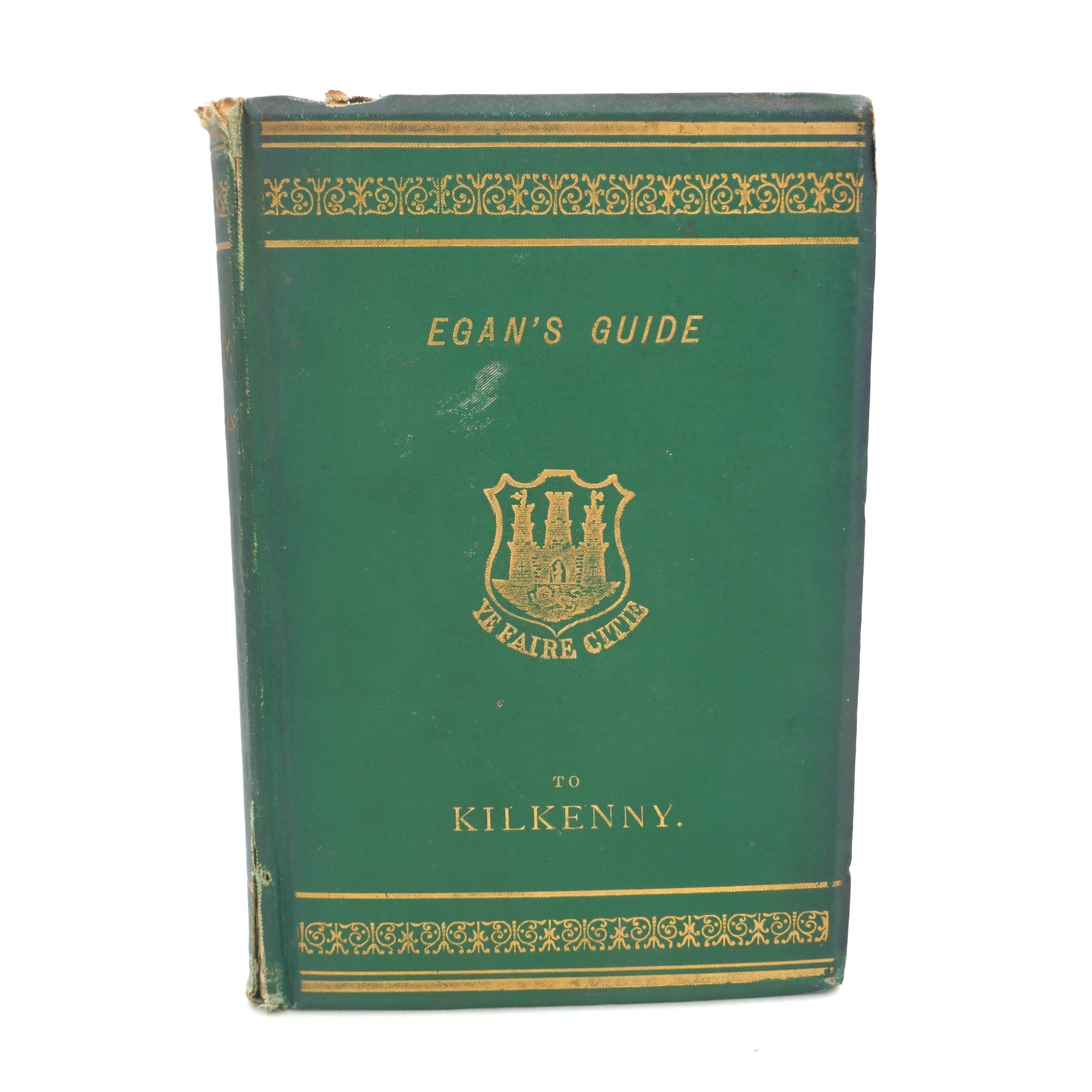Guide to the City and County of Kilkenny (1880)