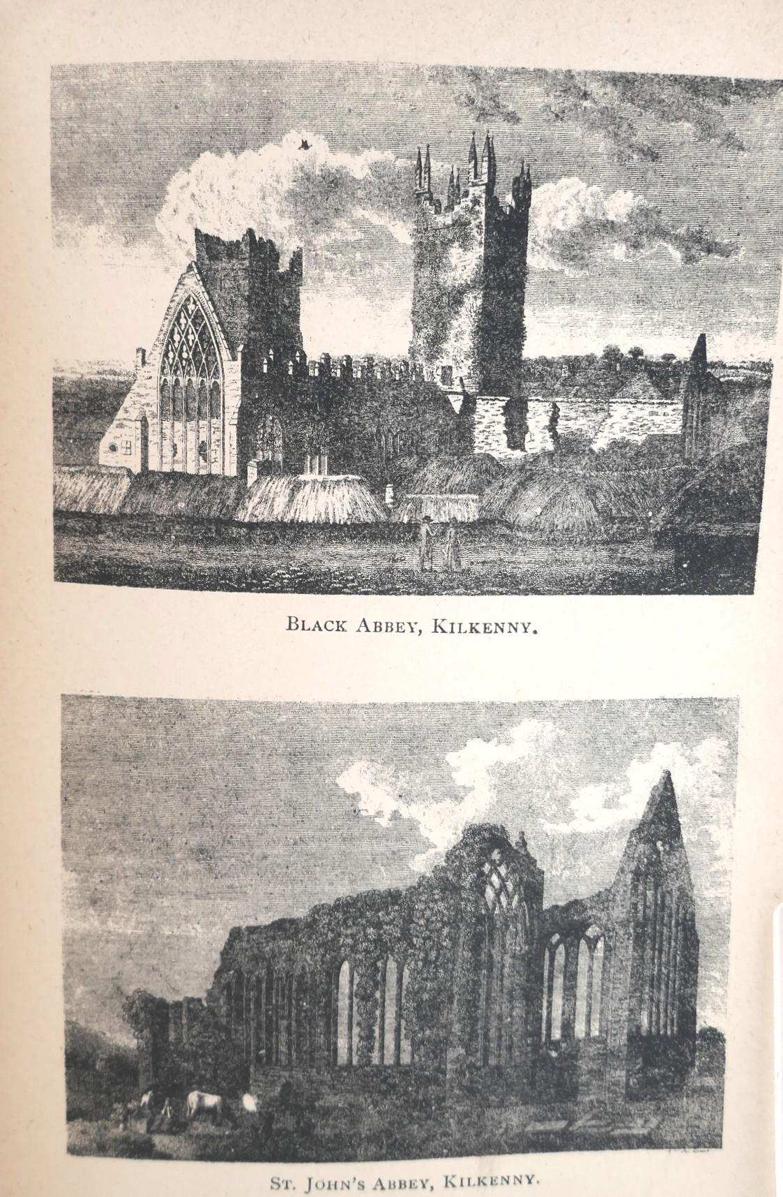 Guide to the City and County of Kilkenny (1880) - Image 5