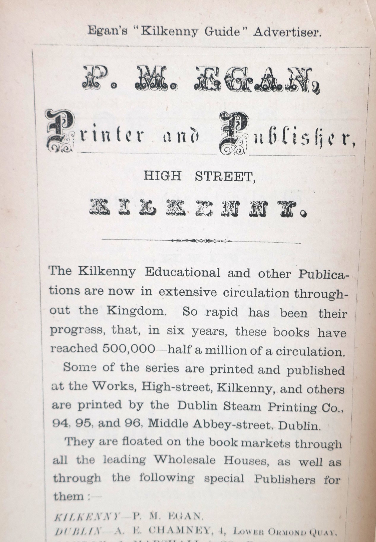 Guide to the City and County of Kilkenny (1880) - Image 6