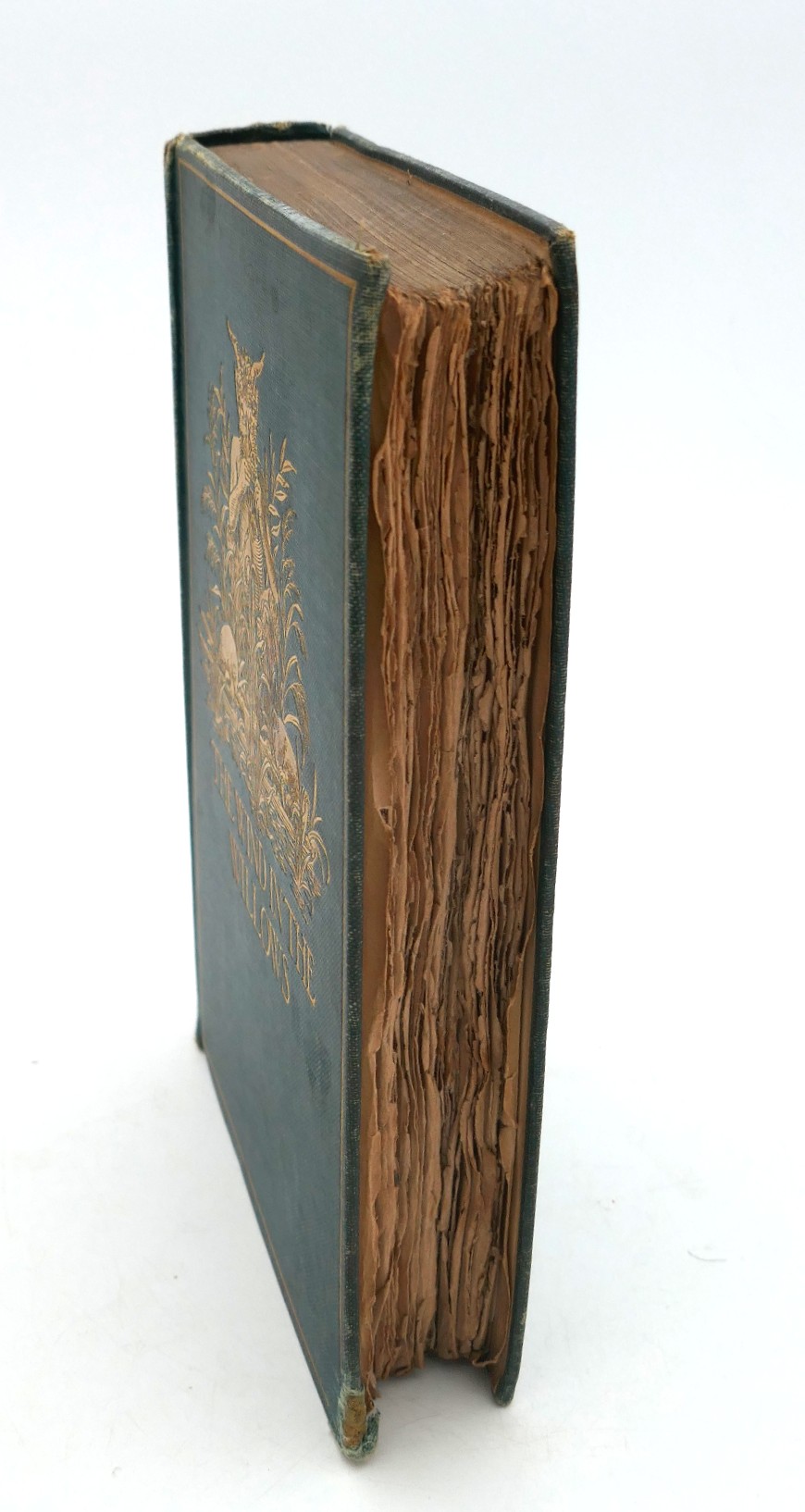 The Wind in the Willows. Second Edition (1908) - Image 4