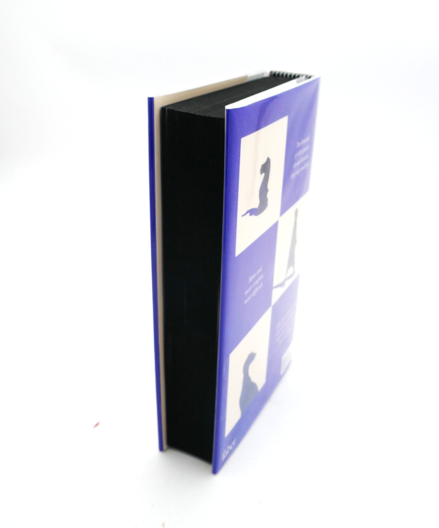 Intermezzo. Limited Signed Edition (2024) - Image 3