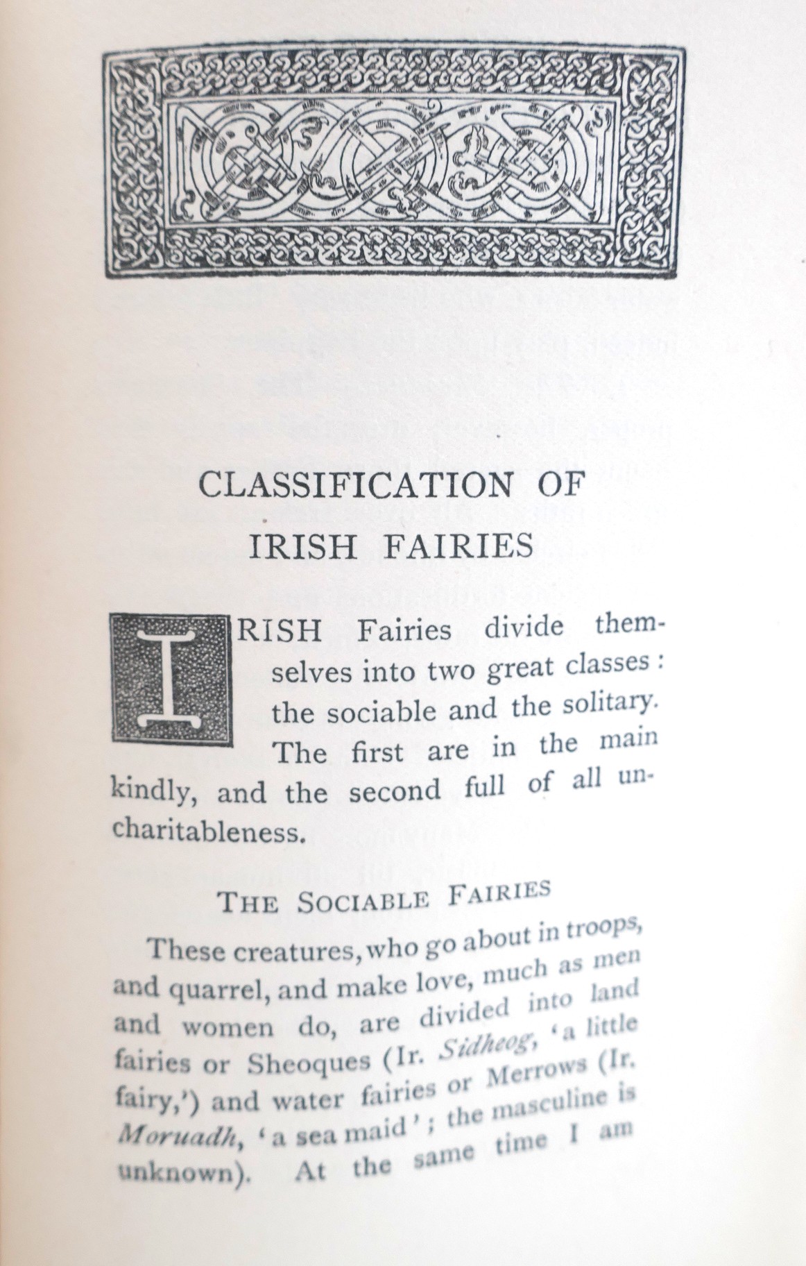 Irish Fairy Tales. Cover Painting by George Russell (1902) - Image 8