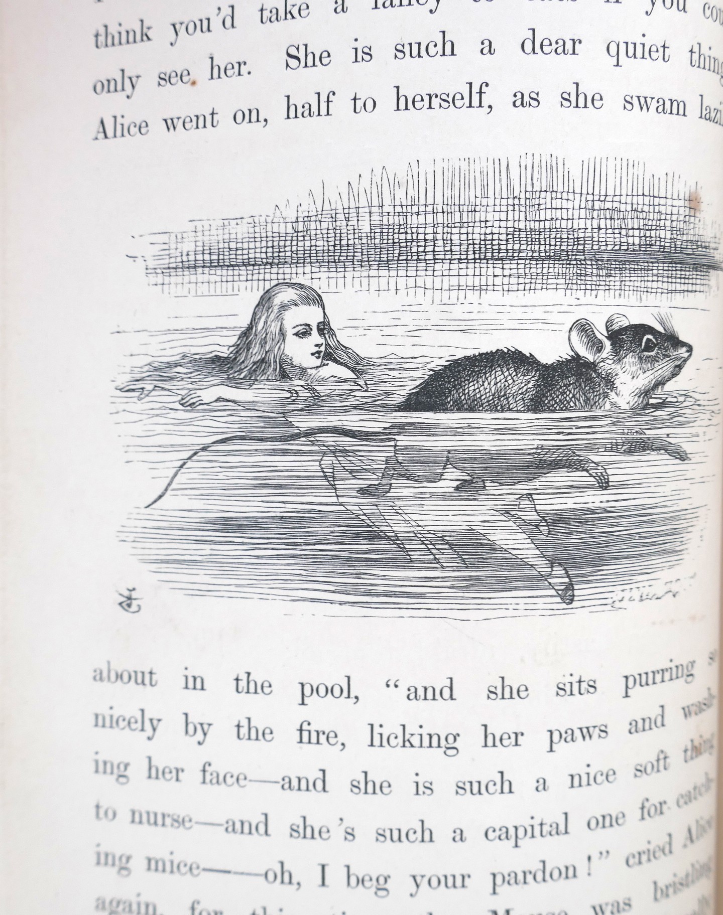 Alice's Adventures in Wonderland. Illustrations by John Tenniel (1876) - Image 4