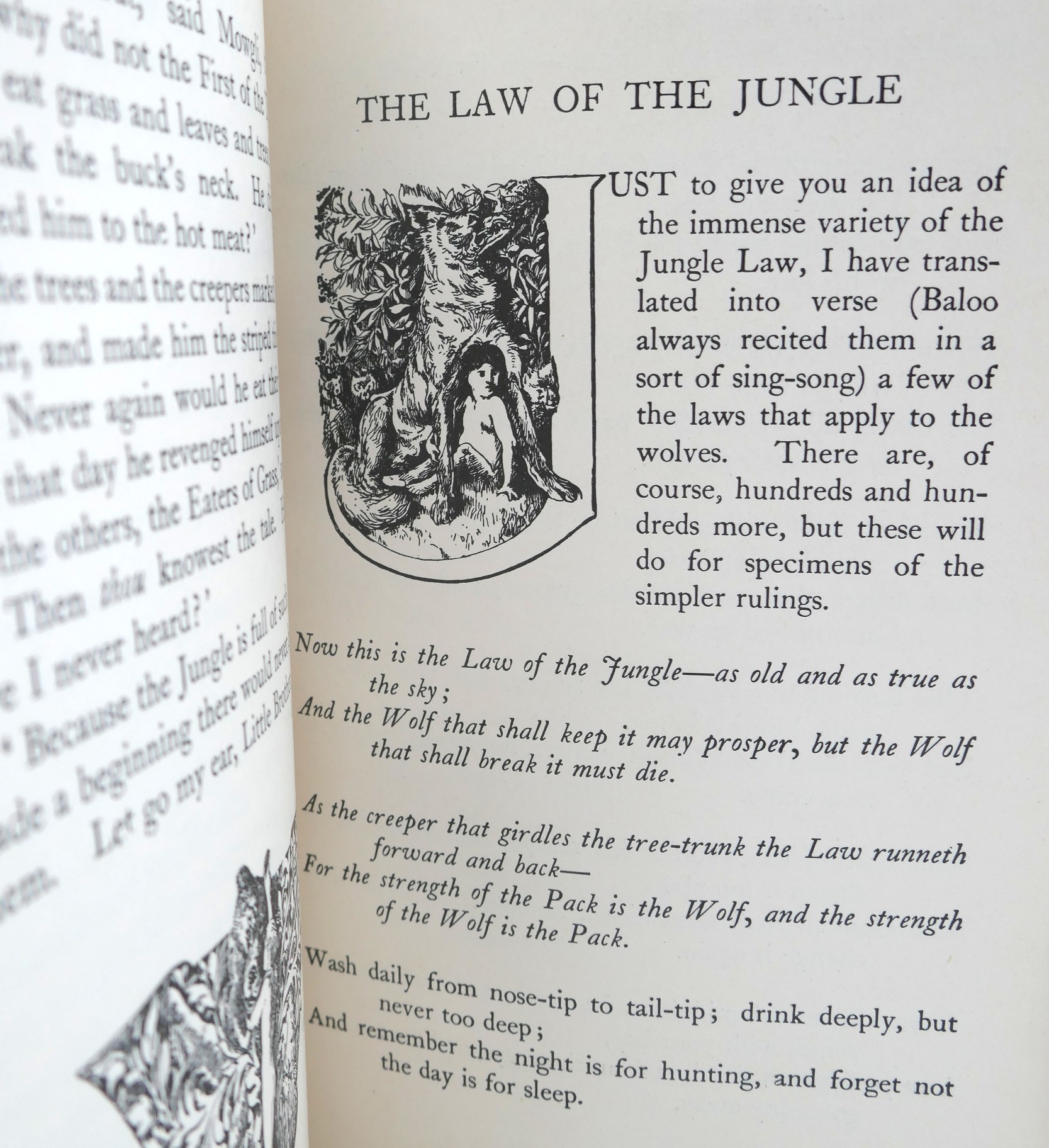 The Jungle Book and The Second Jungle Book. Fine Binding (1965) - Image 9