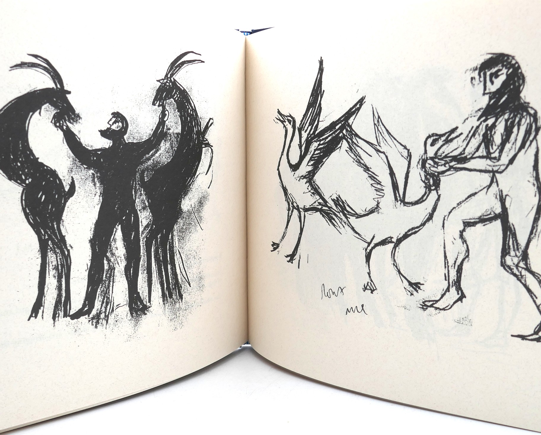 The Ark. Illustrated by Conor Fallon (1996) - Image 5